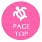 PAGE TOP