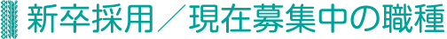 新卒採用／現在募集中の職種
